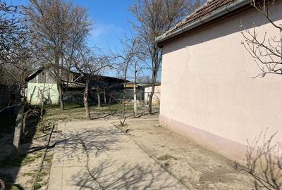 Casă individuală cu 5 camere cu Teren 1681 Mp în Birda - 6