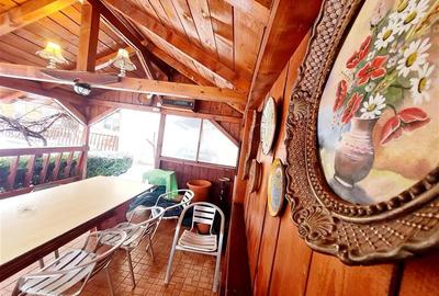 FILM!  Moieciu de Jos, Bran, pensiune in conditii apreciabile - 33