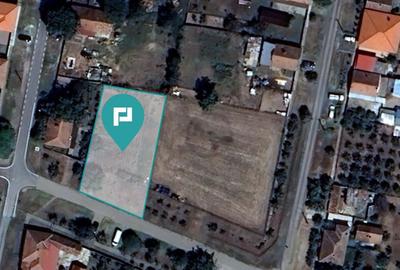 Teren intravilan in localitatea Macea,Arad-698 mp. - 3