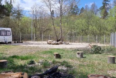 Teren intravilan 1.500 mp in Sacele – utilitati, platforma betonata si potential - 3