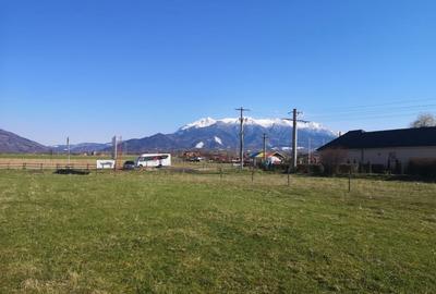 Teren plat P +4 Bran, panoramic munti, DN73, toate utilitatile