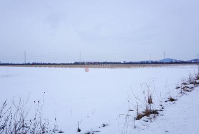 Teren Construcții intravilan de 40000 mp, în Tractorul - 3