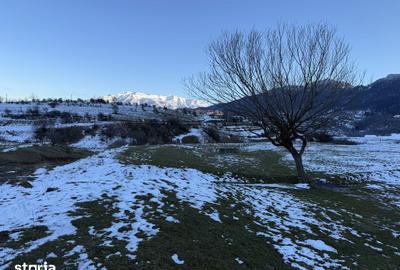 Teren de 667 mp, în Central - 10