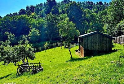 Spațiu comercial, în Grid - 6