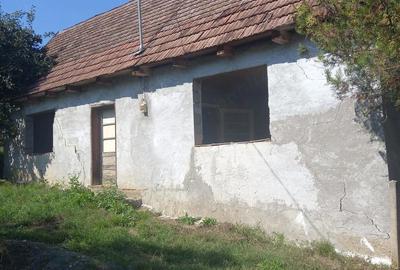 Casă cu 2 camere cu Teren 2100 Mp în Bichiș - 7