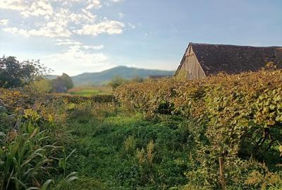 Inchiriez Proprietate la Munte - 3