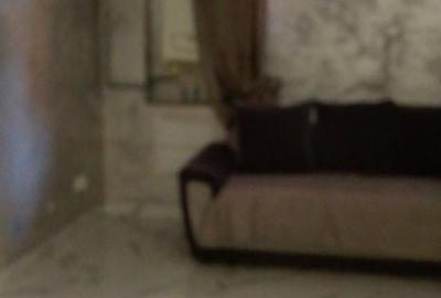 Apartament cu 2 camere decomandat în Roșu - 5