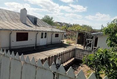Casă cu 3 camere cu Teren 696 Mp în Nufăru - 5