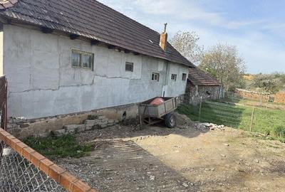 Casă cu 3 camere cu Teren 2400 Mp în Brădet - 2