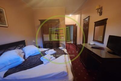 Hotel/Pensiune, de 950 mp, în Cioplea - 17
