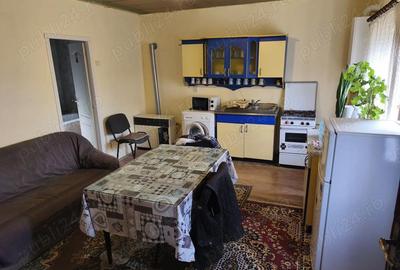 Casă cu Teren 600 Mp în Chețani - 4