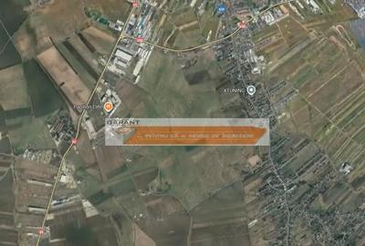 Teren de 20000 mp, în Albota - 1