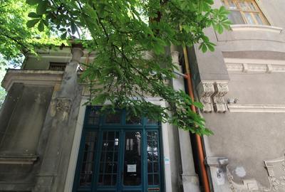 Vila reprezentativa - zona ultracentrala - 3