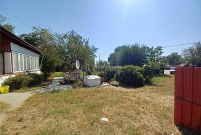 Casa Bila Ghimpati- Giurgiu - 5