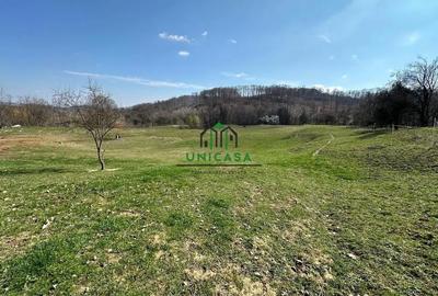 Teren de 8131 mp, în Băile Govora - 7