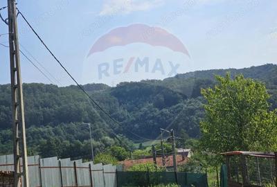 Casă cu 4 camere cu Teren 1371 Mp în Crivina - 2
