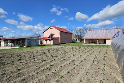 2 case finisate impecabil + 2.300 mp teren, panouri solare 6.5 kW, Jebel aproape de Timi?oara - 3