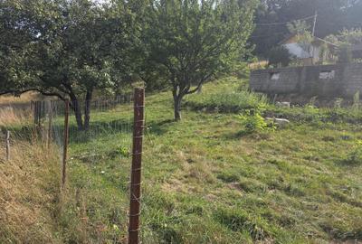 Teren Construcții intravilan de 1000 mp, în Bran - 10