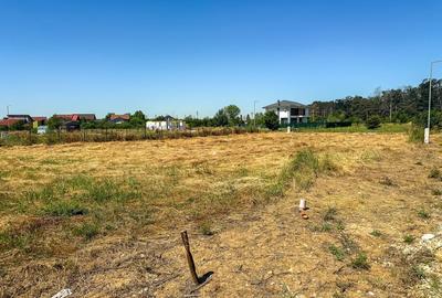 Teren 1116 mp gulia Eden Forest - 3