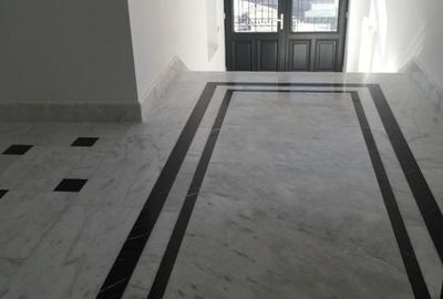 Investitie Vila Istorica reconstruita integral, inchiriata - 13