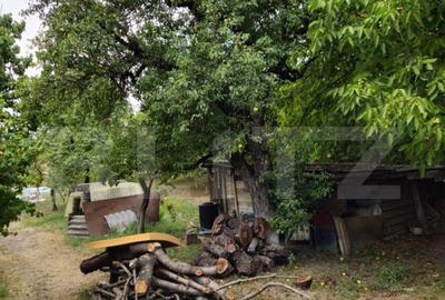 Teren extravilan 17524 mp, expunere sudica, Viforata - 29