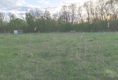 Teren ideal pentru casa de vacanta sau locuinta permanenta, la marginea padurii - 3