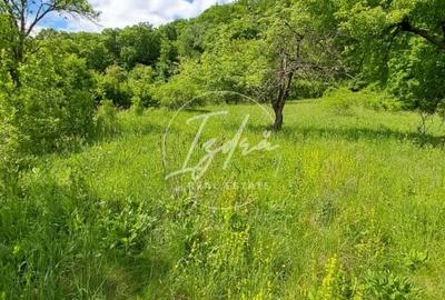 Teren de vanzare in Vii,  Podul Olt - 2