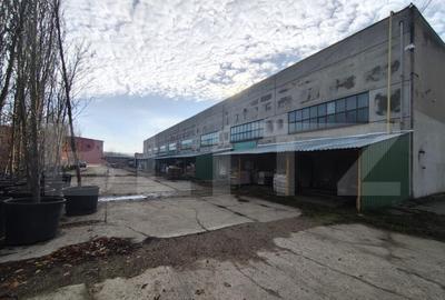 Teren intravilan in Oncea - 4