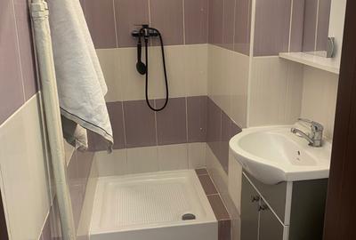 Garsonieră decomandată în Costin Georgian - 5