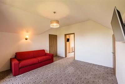 Casă individuală cu 12 camere cu Teren 3000 Mp în Bran - 9