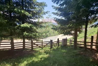 Casa de vacanta in Magura, la poalele Muntilor Piatra Craiului - 16