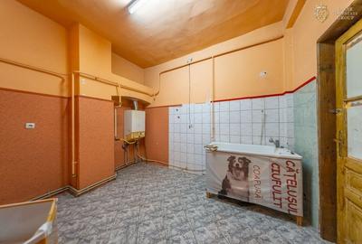Proprietate speciala cu potential in inima Aradului - 22