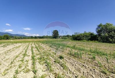 DE VANZARE - Teren intravilan Sisesti, Maramures (0% comision) - 3