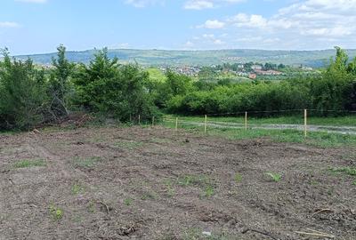 Teren de vânzare, 1079 m2(2parcele), Visan, jud.Iasi.Proprietar! - 1