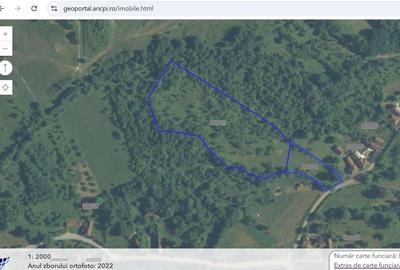 Teren in Apuseni Tebea Teren in Apuseni Tebea - 19