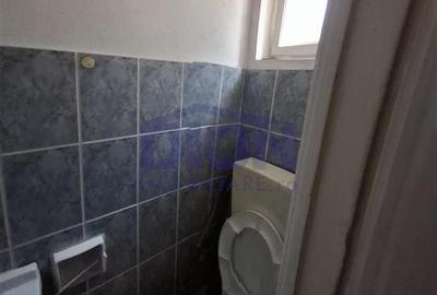 Pache Protopopescu - Agricultori - Sc. Internationala Britanica - 8