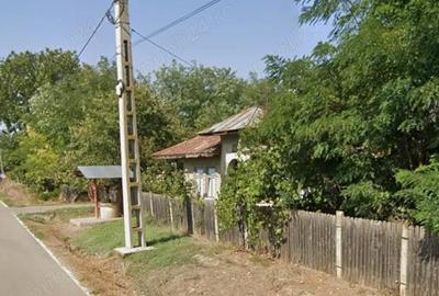 Casă cu Teren 2700 Mp în Coconi - 1