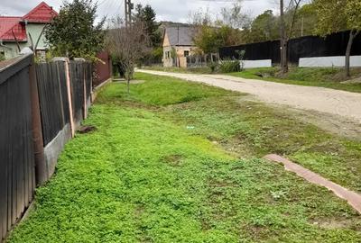 Casă cu 2 camere în Crăiești - 7