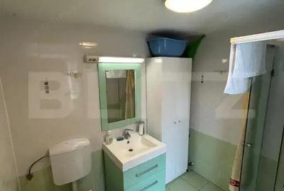 Proprietate de vanzare, 220 mp si 70 mp, zona Lipovei! - 18