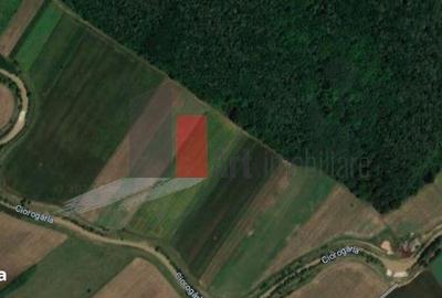 Teren de 6100 mp, în Cosoba - 3