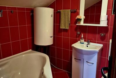 Casa de poveste in satul Pestera, Moeciu Brasov - 20