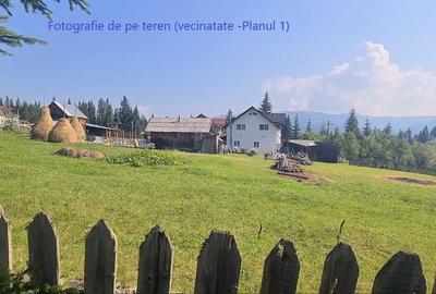 Teren de 6450 mp, în Neagra - 1