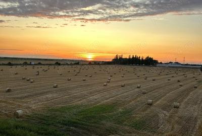 Apartament cu 3 camere semidecomandat în Dumbrăvița - 1