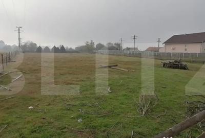 Teren de 3300 mp, în Vințu de Jos - 1