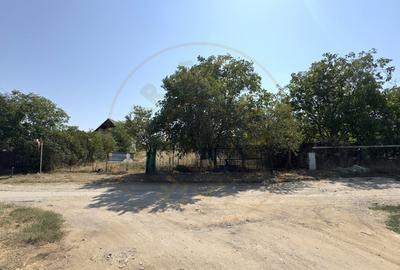 Teren agricol extravilan de 2000 mp, în Carei - 6