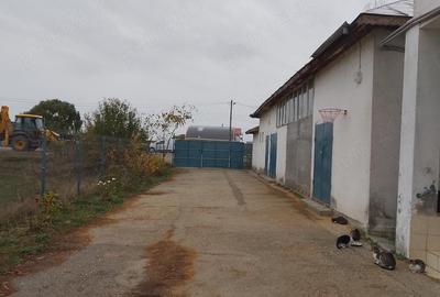 Casă cu 7 camere cu Teren 1000 Mp în Vânătorii Mici - 1