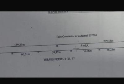 Teren de 4523 mp, în Cernele - 1