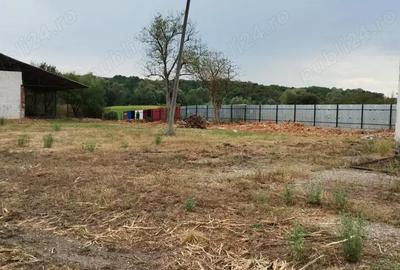 Spațiu comercial, de 930 mp, în Surduc - 2