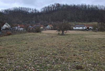 Teren de 3140 mp, în Alimpești - 4