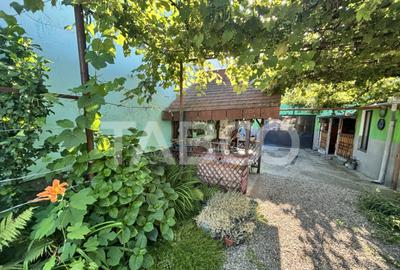 Casă cu 3 camere cu Teren 542 Mp în Turnișor - 5